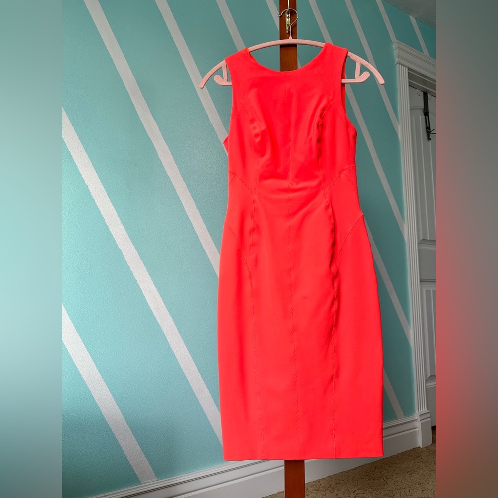 Designer Karen Millen Dress